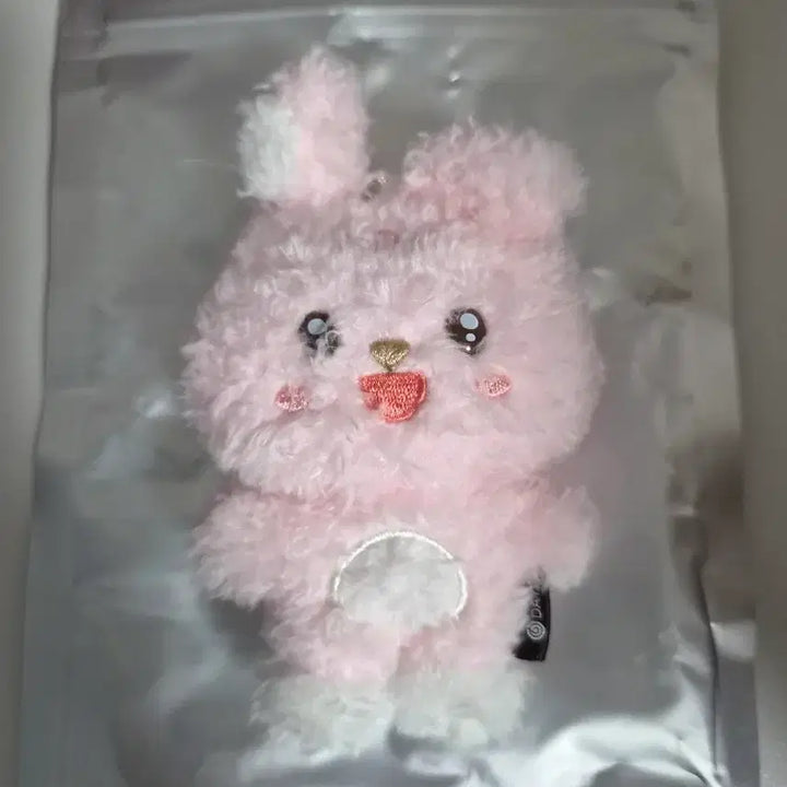 [BUNJANG] Day6 Young K Unfiltered Pilkki Photocard Holder / 원필 언필터드 필끼 초롱필 판매합니다