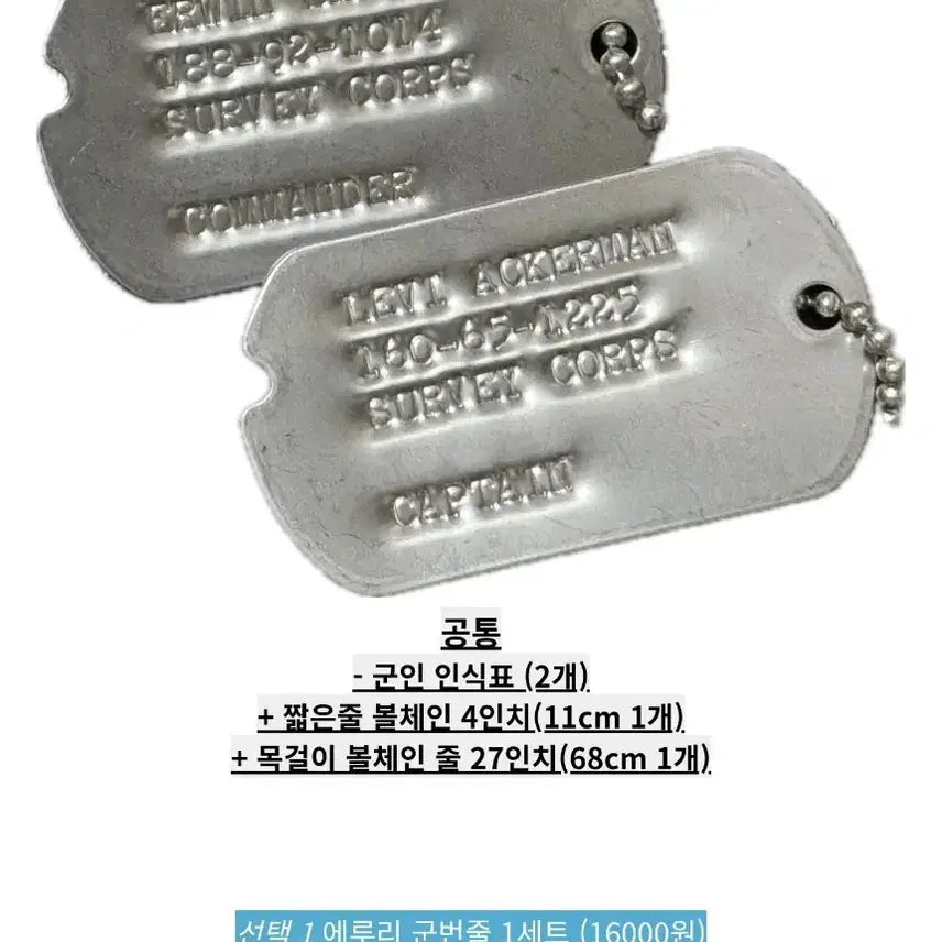 [BUNJANG] Attack on Titan Eruri Dog Tag Set (Elvin, Levi) Unsealed / [미개봉] 진격의 거인 진격거 에루리 군번줄 세트 엘빈 리바이