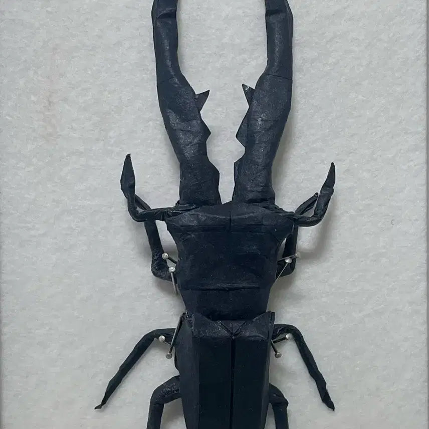 [BUNJANG] Origami Metalipher Stag Beetle Specimen / 한장 종이접기 메탈리퍼 사슴벌레 표본