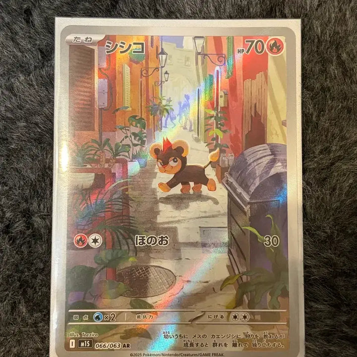 [BUNJANG] Pokemon Card Japanese Edition / 포켓몬카드 일본판