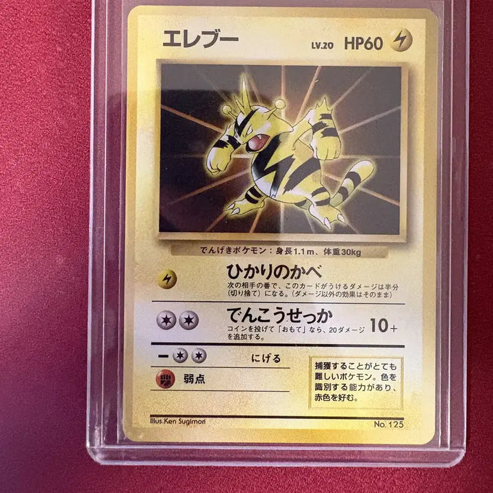 [BUNJANG] Pokemon Card Single - First Edition / 일판 초판 프로모 에레키 포켓몬카드 싱글