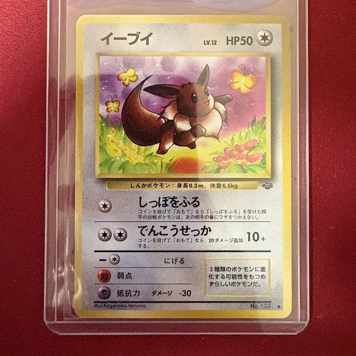 [BUNJANG] Pokemon Jungle Eevee Single Card / 일판 정글 이브이 포켓몬카드 싱글