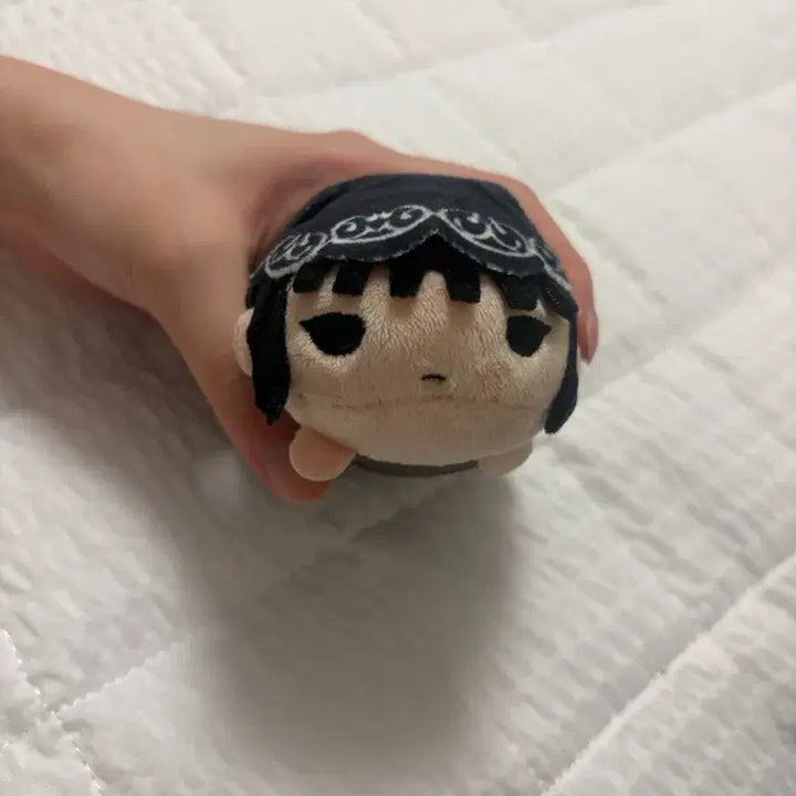 [BUNJANG] Osaragi Plush / 사카모토데이즈 오사라기 누이