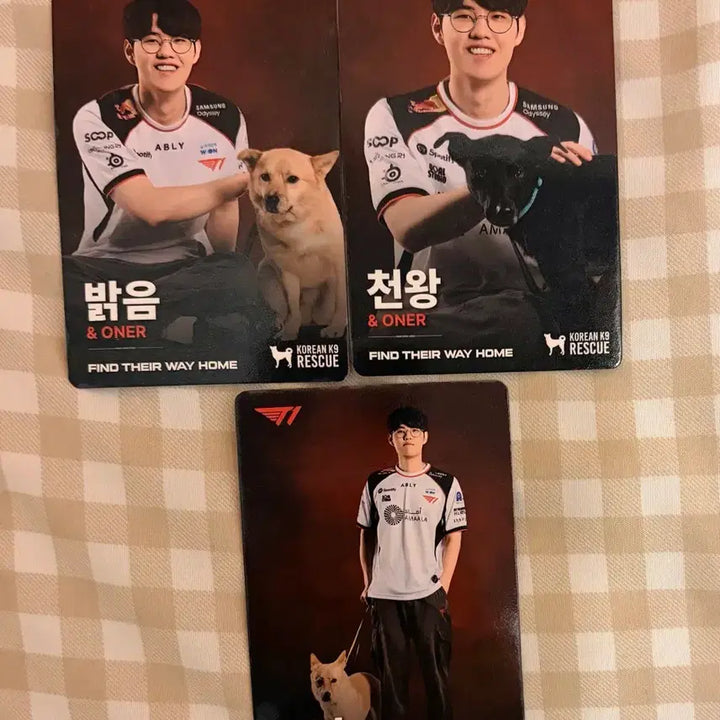 [BUNJANG] T1 Home Ground Owner Photocard Set / 티원 Home Ground 오너 포카 세트
