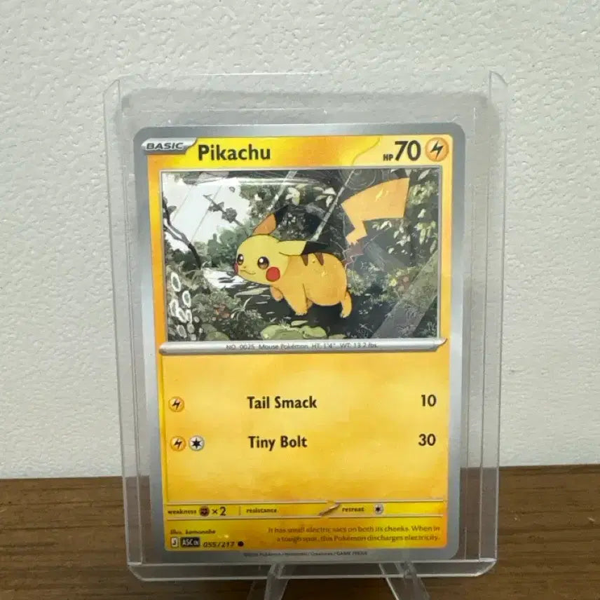 [BUNJANG] Pokemon Card North American Edition Pikachu / 포켓몬카드 북미판 피카츄