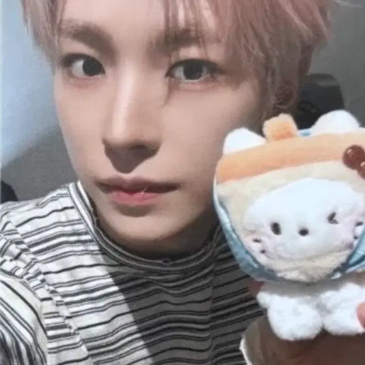 [BUNJANG] NCT WISH Wishniini Bubble Nyangni Big Hug Cushion Photocard Yushi / 약간의 에눌 가능) 엔시티위시 위시니니 버블냥니 포카 유우시