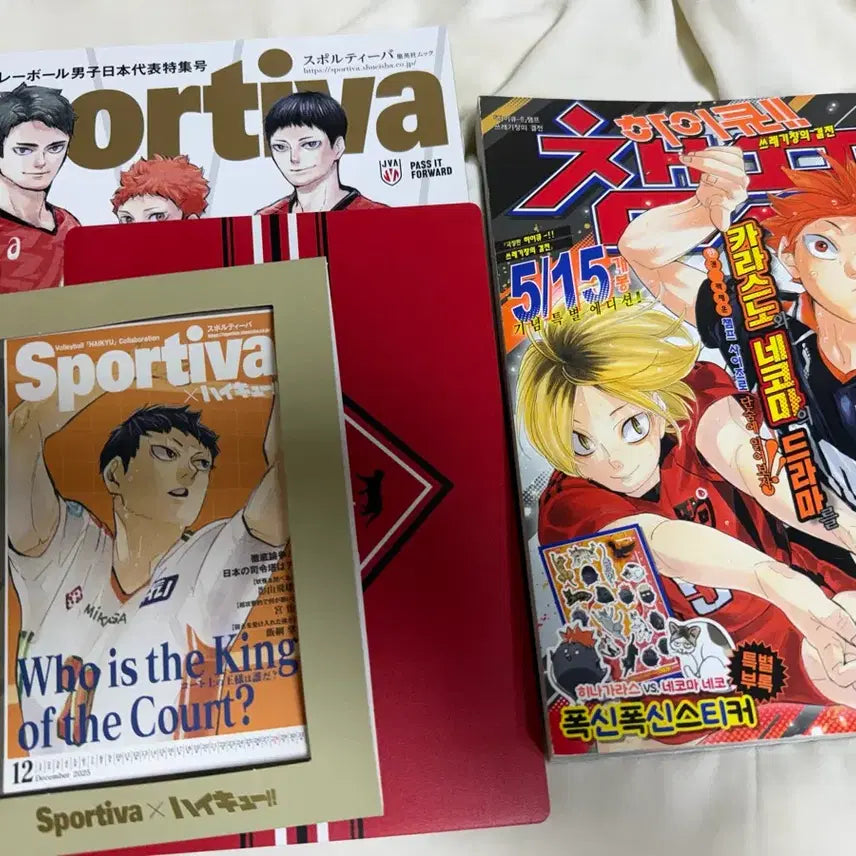 [BUNJANG] Haikyuu!! SporTee Champ Orange CD Mousepad / 하이큐 스포티지 챔프 오렌지 씨디 마우스패드
