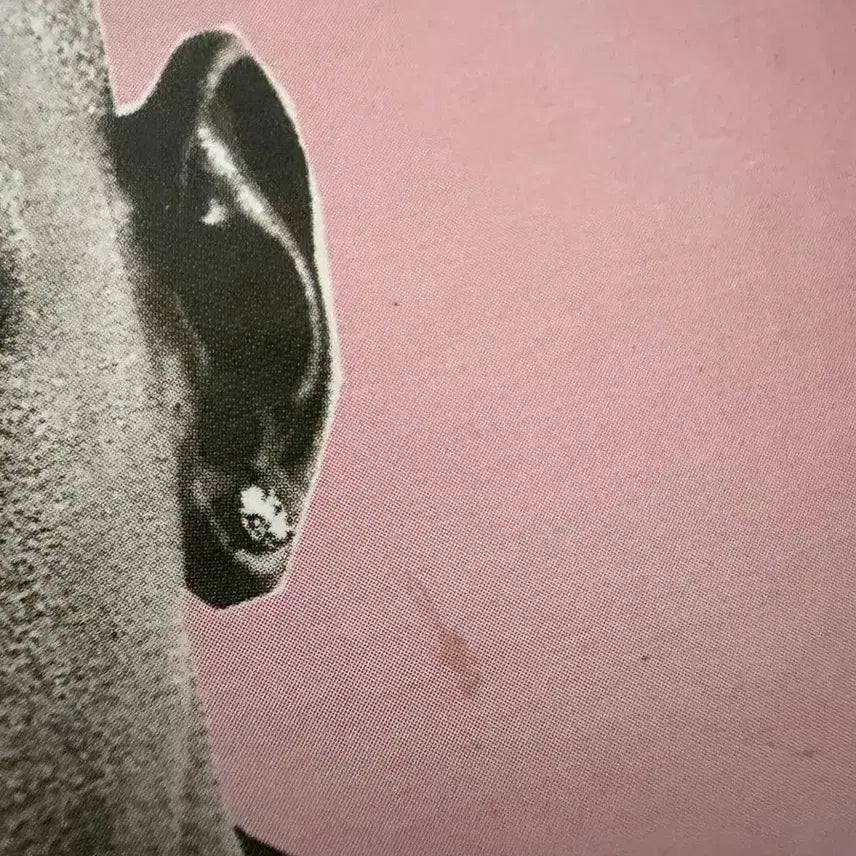 [BUNJANG] Tyler, the Creator IGOR CD / 타일러 igor cd