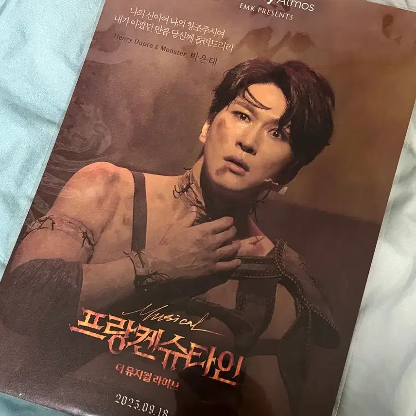 [BUNJANG] Frankenstein: The Musical Live Park Eun-tae Large Poster / <프랑켄슈타인: 더 뮤지컬 라이브 > 박은태 대형 포스터