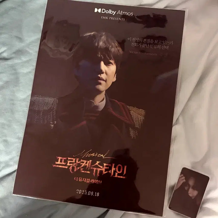 [BUNJANG] Frankenstein: The Musical Live Kyuhyun Large Poster / <프랑켄슈타인: 더 뮤지컬 라이브 > 규현 대형 포스터
