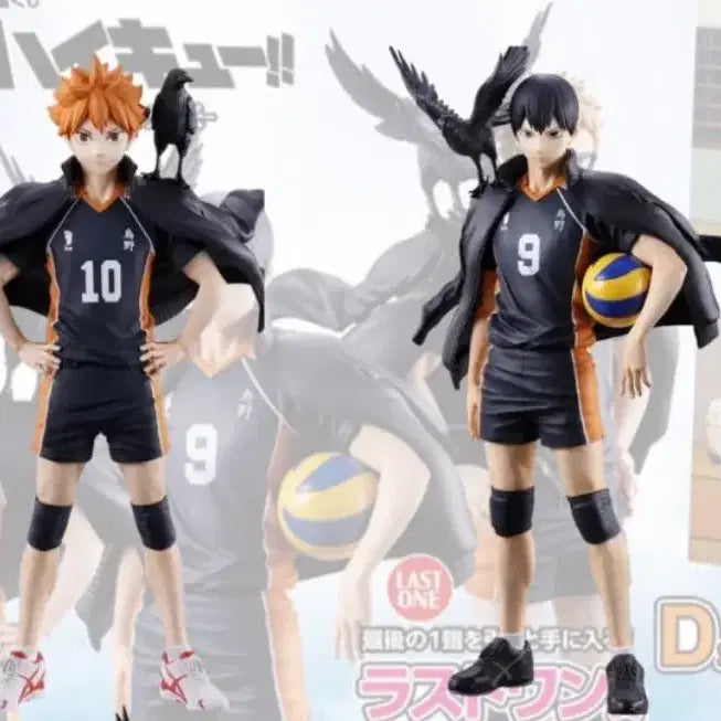 [BUNJANG] Haikyuu!! Karasuno High School&