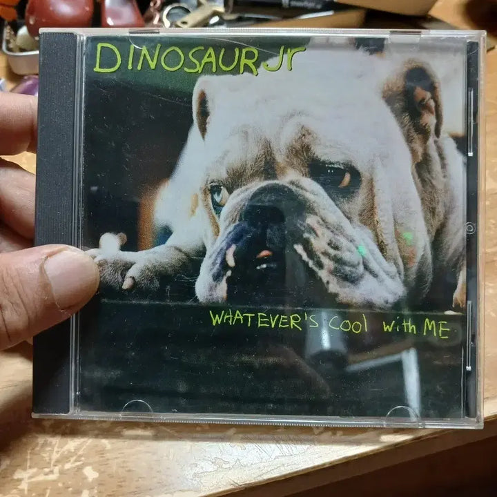 [BUNJANG] Dinosaur Jr. Whatever&