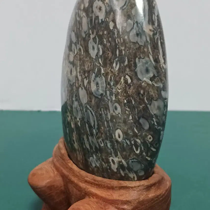 [BUNJANG] Yeongdeok Plum Orchid Stone (Maewah Gongjakseok) / 꽃돌(영덕/매화공작석)