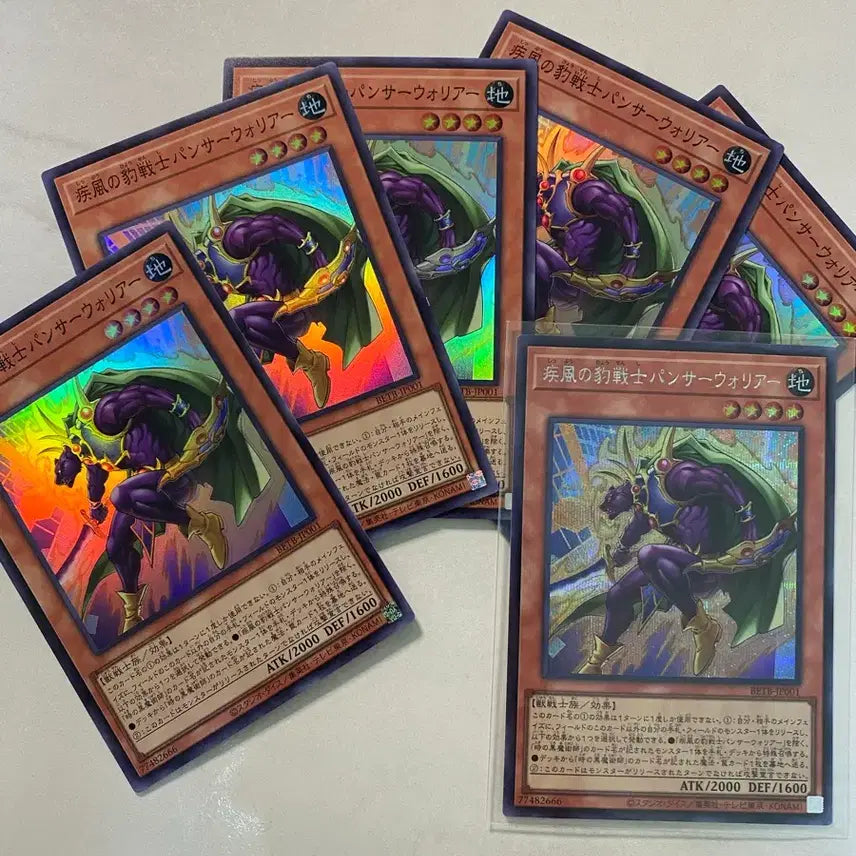 [BUNJANG] Yu-Gi-Oh! Duelist Nexus "Tempest Magician Panther Warrior" (Japanese) / 일판 유희왕 질풍의표범전사팬서워리어