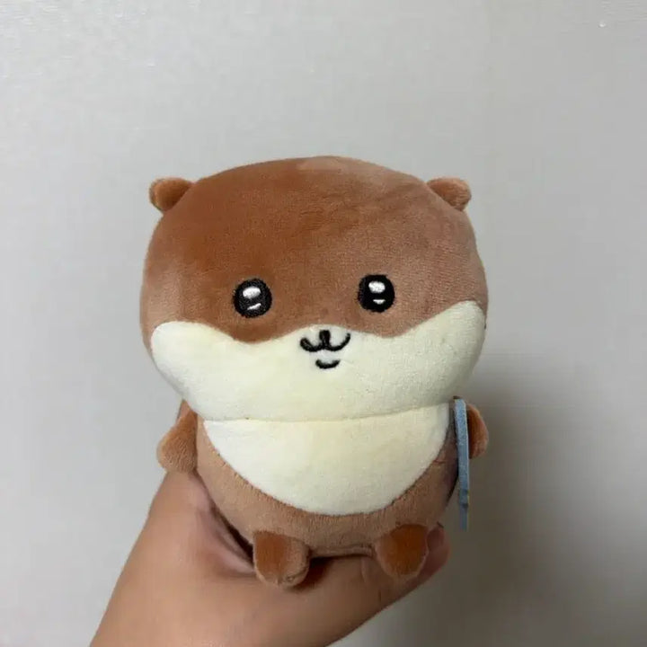 [BUNJANG] Nagano Otter Plush Toy / 나가노 수달 인형
