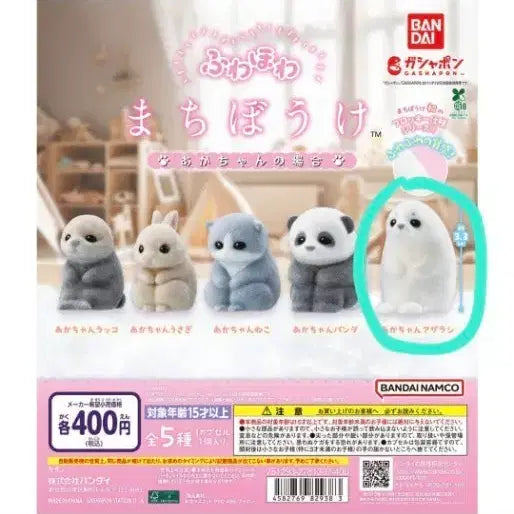 [BUNJANG] Machiboke (Waiting) Floppy Seal Gachapon Unsealed New Product / 마치보케 (기다림) 플로키 물개 가챠 미개봉 새상품
