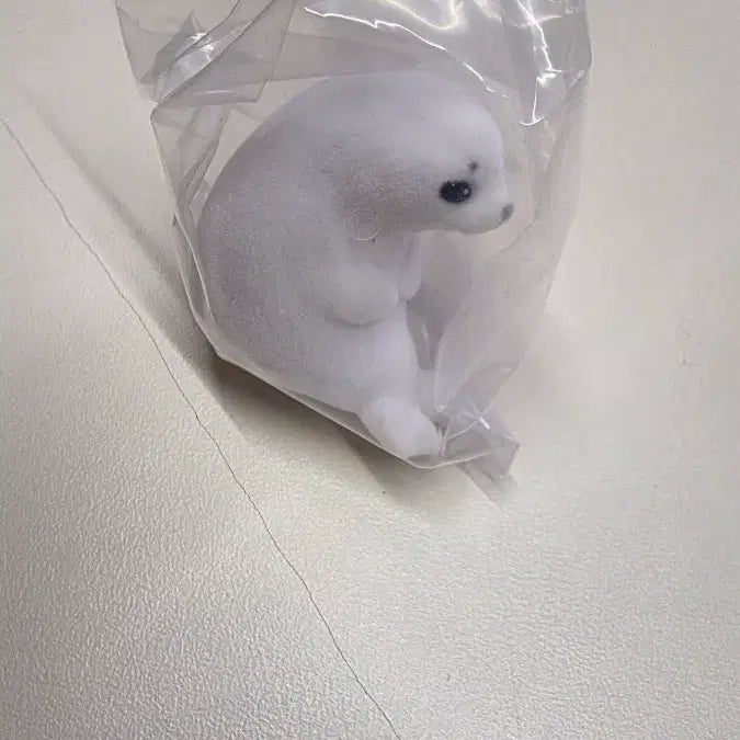 [BUNJANG] Machiboke (Waiting) Floppy Seal Gachapon Unsealed New Product / 마치보케 (기다림) 플로키 물개 가챠 미개봉 새상품