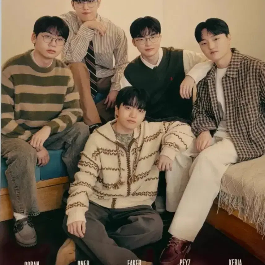 [BUNJANG] T1 Homeground Daewoong Pharmaceutical Bromide Poster / T1 홈그라운드 대웅제약 브로마이드 포스터