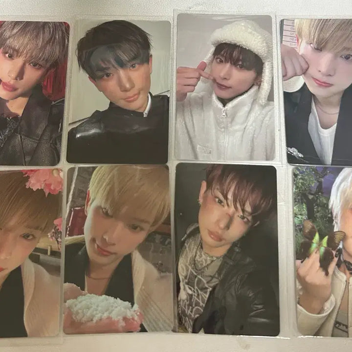 [BUNJANG] &amp;team Harua Bundle Set Photocard / 앤팀 하루아 포카 일괄 양도 &amp;team 죠 의주 유마 타키