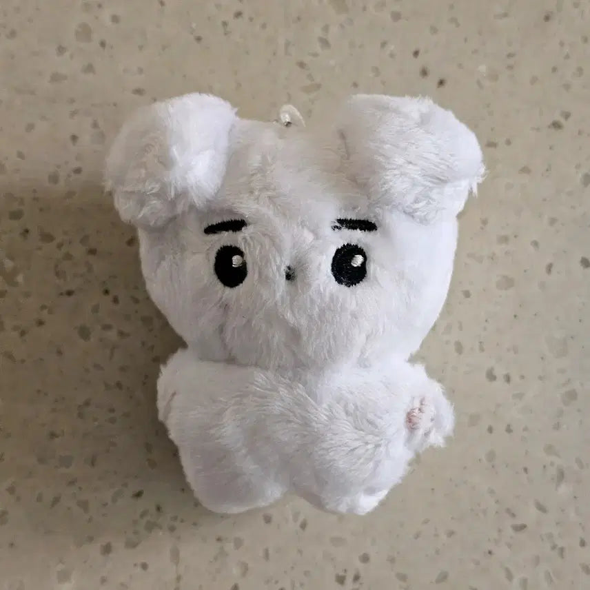 [BUNJANG] ENHYPEN Sunghoon Doll SomSunghoon / 엔하이픈 성훈 인형 솜성훈