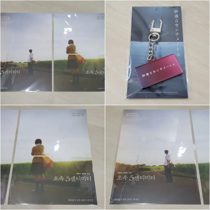 [BUNJANG] 5 Centimeters Per Second 3-Set (Poster + Movie Title) / [전용박스 안전포장] 초속5센티미터 3종 세트 (포스터+무비타이틀)