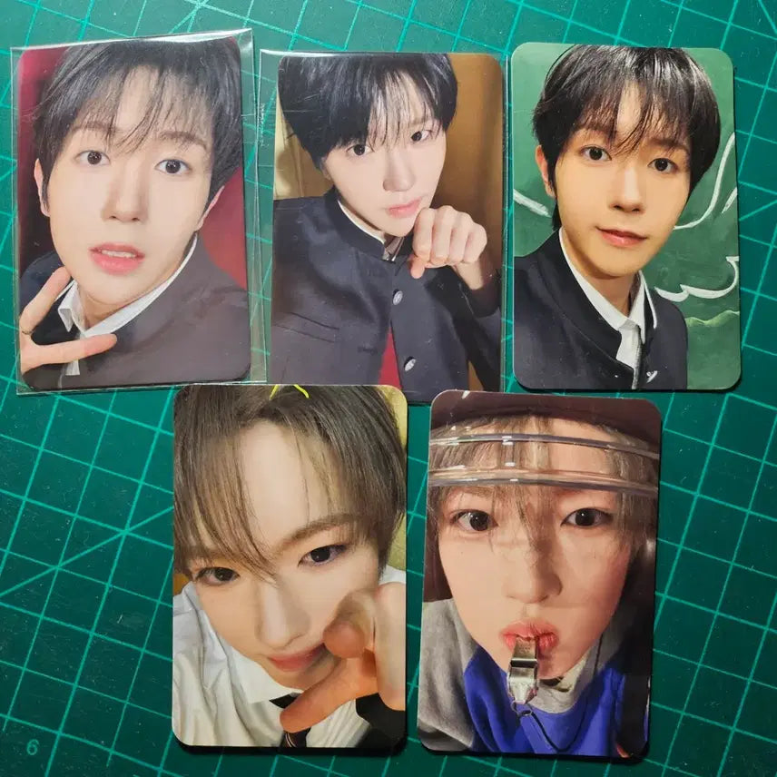 [BUNJANG] NCT WISH Yojidoll Bombing Girl Photocard Bundle Set Ryo Jaehee Sakuya / 엔시티 위시 요이돈 보밋걸 포카 양도 료 재희 사쿠야 일괄