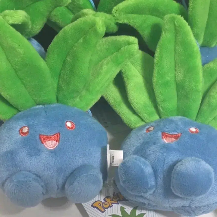 [BUNJANG] Pokemon Turtwig Plush (Set of 2) / 뚜벅쵸 2개 9000원