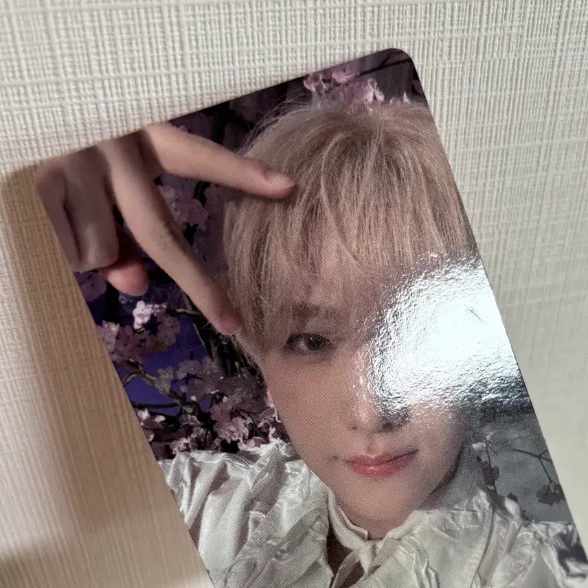 [BUNJANG] ENHYPEN Yuma Photocard Bundle Set (Sunshine City, Weverse Shop) / 앤팀 유마 포카 일괄 양도 세투논 르네존 선샤인시티 first howling 사미다레 위버스샵