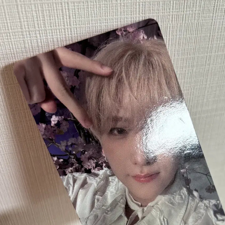 [BUNJANG] ENHYPEN Yuma Photocard Bundle Set (Sunshine City, Weverse Shop) / 앤팀 유마 포카 일괄 양도 세투논 르네존 선샤인시티 first howling 사미다레 위버스샵