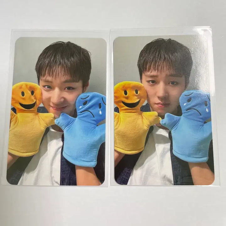 [BUNJANG] Park Ji Hoon Withmuu Photocard Bundle Set / 박지훈 위드뮤 감정포카 일괄
