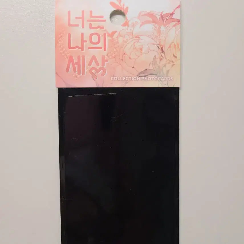 [BUNJANG] You Are My World SuA Collection Photocard Bundle Set / 너는나의세상 너나세 컬포 컬렉션 포토카드 수아 일괄 원가양도