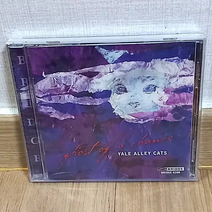 [BUNJANG] Yale Alley Cats Ghost of a Chance Sealed CD Album / (미개봉) 예일 앨리 캣츠 CD 앨범 Ghost of a Chance Yale Alley Cats