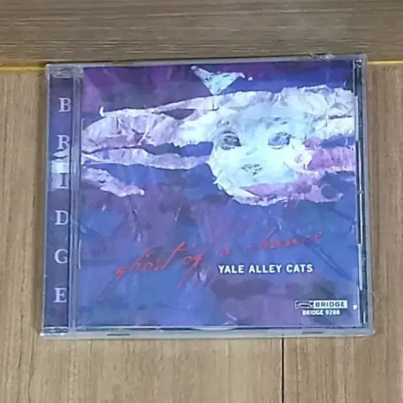 [BUNJANG] Yale Alley Cats Ghost of a Chance Sealed CD Album / (미개봉) 예일 앨리 캣츠 CD 앨범 Ghost of a Chance Yale Alley Cats