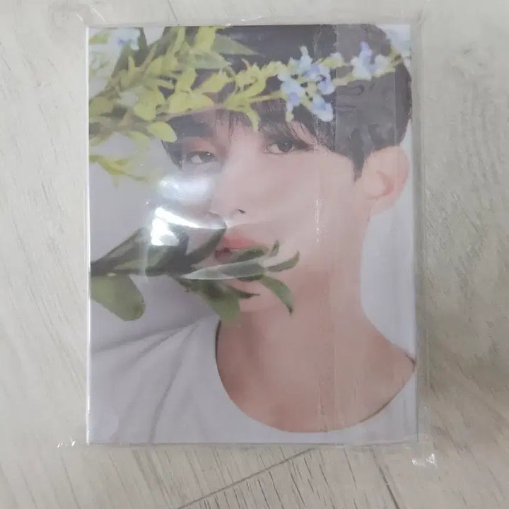 [BUNJANG] SEVENTEEN DK 17 is Right Here Carat Version (Full Set) / 세븐틴 도겸 17 is right here  캐럿반 (풀구성)