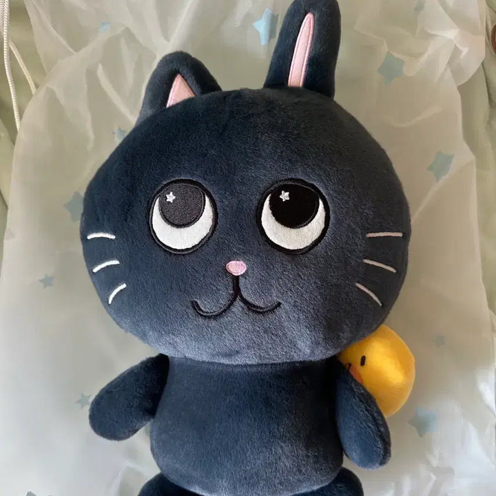 [BUNJANG] RIIZE Wonbin LIRAZ 40cm Plush Doll (Unsealed) / 라이즈 원빈 토냥덕 리라즈 40cm 단순개봉 보관품 대왕토냥덕