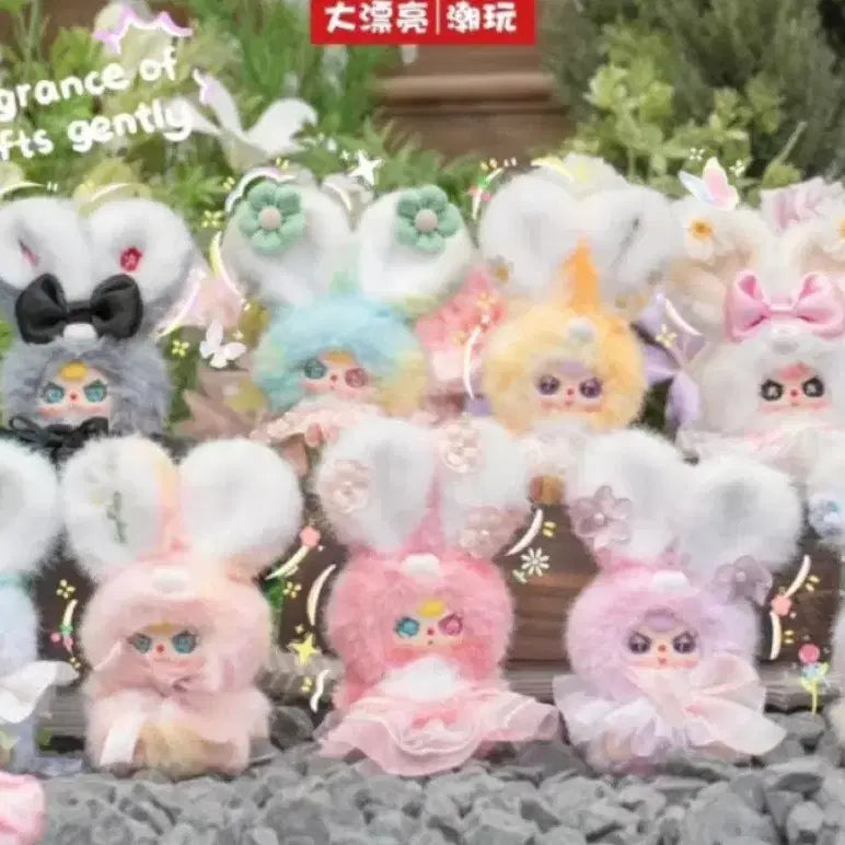 [BUNJANG] Baby3 Flower Fairy Full Box + Chic Version / 베이비쓰리 꽃요정 플라워 풀박스 + 시크