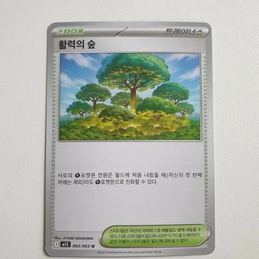 [BUNJANG] Pokémon Card Stadium Forest of Vitality Trainer&