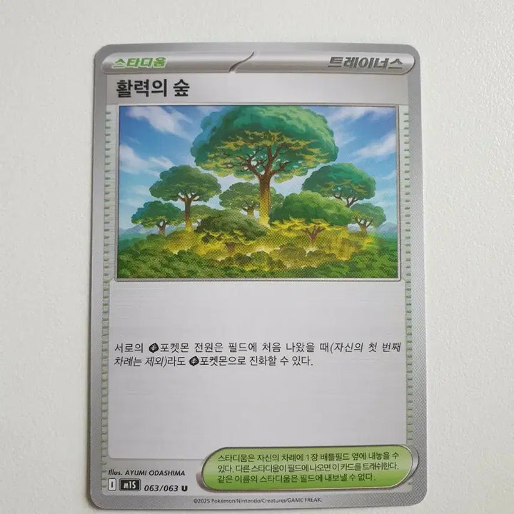 [BUNJANG] Pokémon Card Stadium Forest of Vitality Trainer&