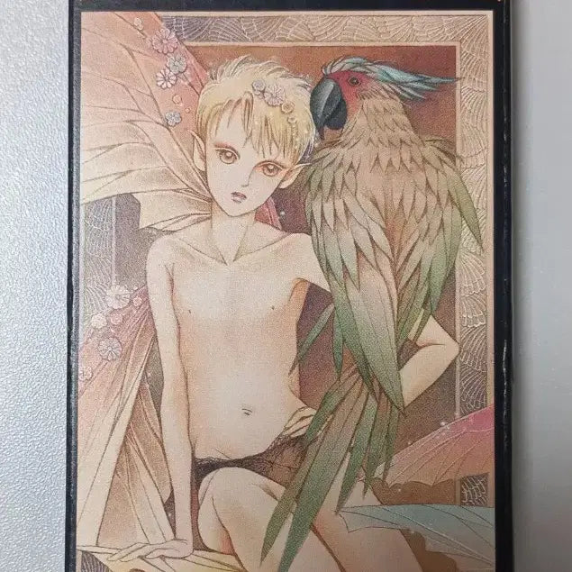[BUNJANG] Shimizu Reiko Miracle Tarot Major Arcana (22 Cards) / [주말 한정 할인 판매] 시미즈레이코 미라클타로 22장 메이져 타로카드