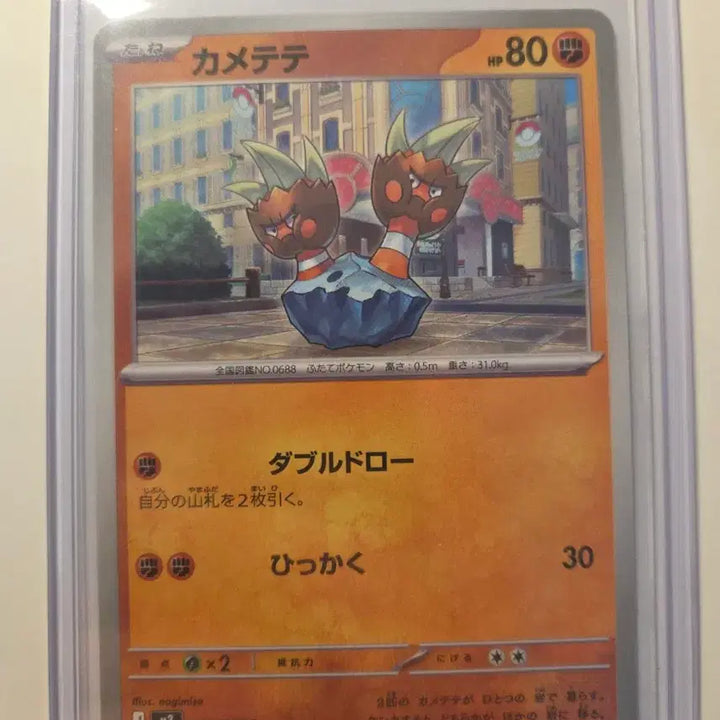 [BUNJANG] Pokemon Card Japanese Tirtouga / 일판 포켓몬카드 거북손손