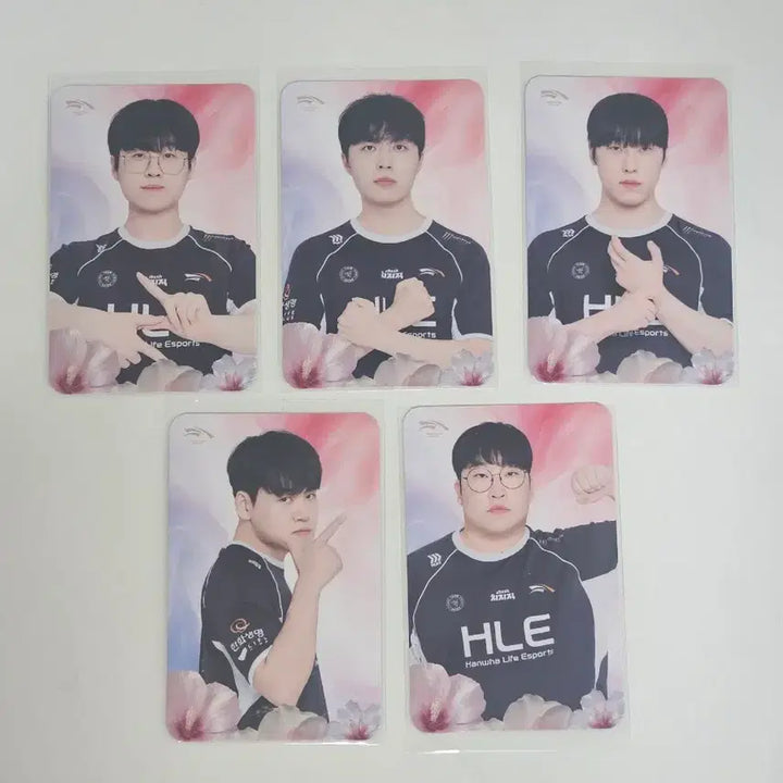 [BUNJANG] HLE Hanwha Life Esports Gwangbokjeol Photocard Set / HLE 한화생명 광복절 포토카드 한생