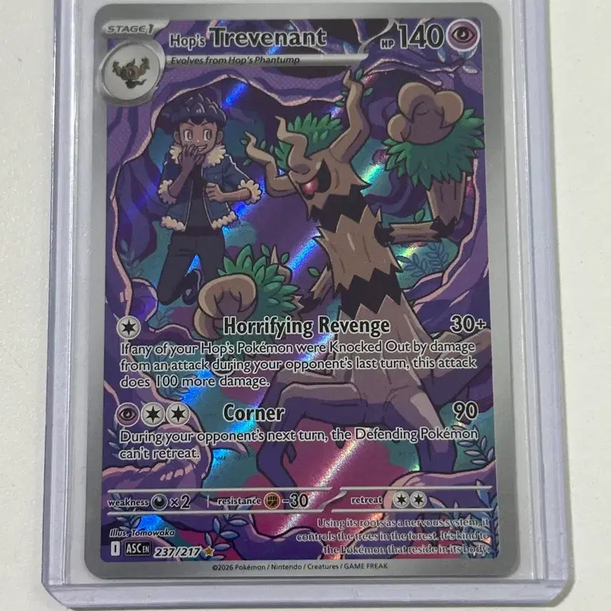 [BUNJANG] Pokemon Ascended Heroes Hop&