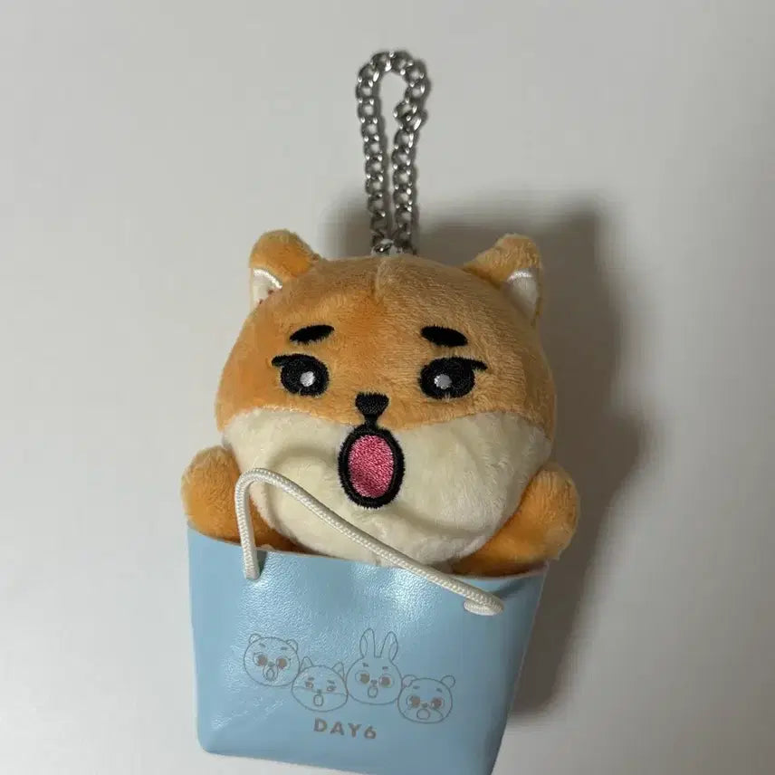 [BUNJANG] DAY6 Young K Japan MD Bag Charm Keychain / 영케이 일본md 백참 케 키링