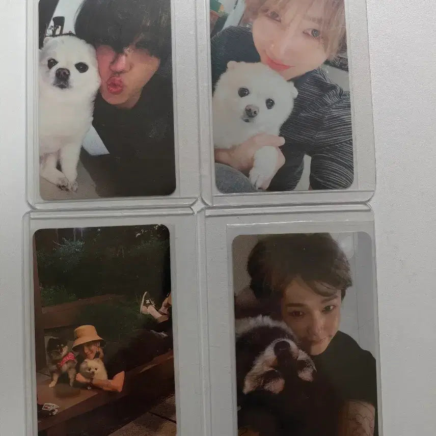 [BUNJANG] Super Junior Yesung &