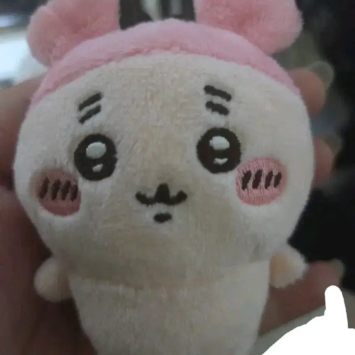 [BUNJANG] Kkukkung Monzzi Character Plush Doll (Unsealed) / 먼작귀 인형 양도합니다