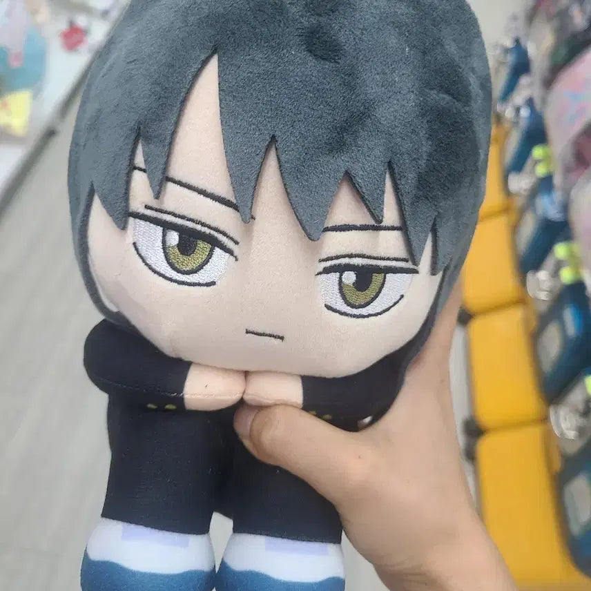 [BUNJANG] Gintama Katsura Stuffed Doll / 은혼 카츠라 누이 인형