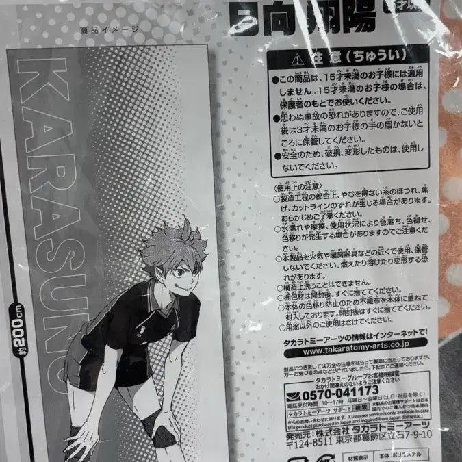 [BUNJANG] Haikyu!! Hinata Large Tapestry / 하이큐 히나타 테피스트리