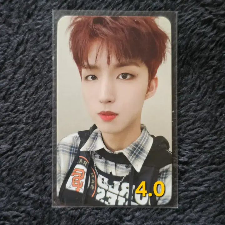 [BUNJANG] Xdinary Heroes Junhan Photocard Four-Cut Postcard / 엑스디너리 히어로즈 준한 포카 포스트카드 네컷
