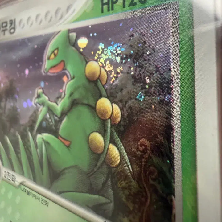 [BUNJANG] Pokemon Card Treeking 1st Edition Swirl / 포켓몬카드 나무킹 초판 brg10(스월)