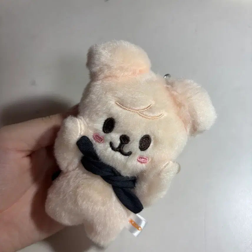 [BUNJANG] Stray Kids Seungmin PERMPROOF Magnet Keychain / 스트레이키즈 승민 퍼핌 마그넷 키링